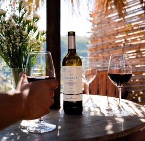 a person holding a bottle of wine and two wine glasses at Villa balcón de azuaje in Moya