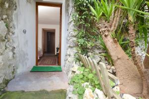 Zahrada ubytování B&B Dell' Artista