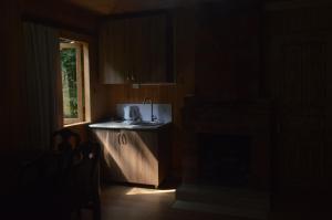 a dark kitchen with a sink and a window at Kaghu in Martvili