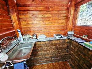 a kitchen with a sink and a wooden wall at Căsuța Elena Refugiu în Natură in Buceş +16 photos