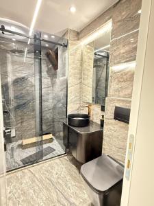 a bathroom with a shower and a toilet and a sink at Old Town Inn room 8 in Pogradec