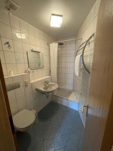 a bathroom with a toilet a sink and a shower at Zimmer Mosella in Enkirch