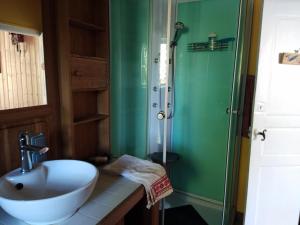 ein Badezimmer mit Waschbecken und Dusche in der Unterkunft Les Douitils in Saint-Sauveur-la-Pommeraye