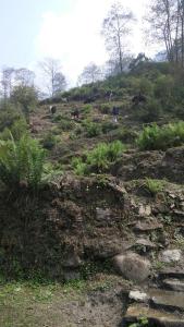 a group of animals on top of a hill at Cozy Nest in Blagnac