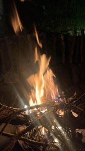 a fire pit with logs and flames at night at Bhimtaal cottages in Bhīm Tāl