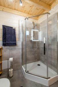 a shower with a glass door in a bathroom at Przystanek Rydzówka - domki na Mazurach in Srokowo +32 photos