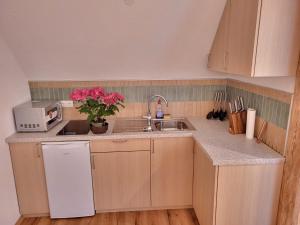 a small kitchen with a sink and a microwave at Ferienhaus Vitabene in Hollenstein an der Ybbs