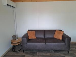 a brown couch in a living room with a table at Cube 97 I 4 persoons chalet met hottub in Zennewijnen