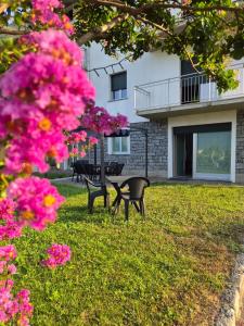 two benches in a yard with pink flowers at Appartamento da Nonna Anna in Montagna in Valtellina