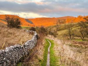 a field with a stone wall next to a road at Granary Cottage in Kirkby Malham