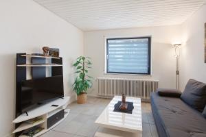 a living room with a couch and a flat screen tv at Schwarzwaldglück in St. Blasien