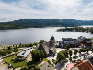 an aerial view of a town with a church and a lake at Schwarzwaldglück in St. Blasien