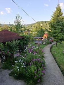 a garden with purple and white flowers and a path at Cabana trenulețelor in Lunca Mare
