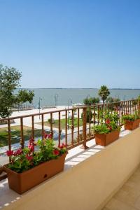 a balcony with flowers inpots on a fence and the beach at Istmo Room and Breakfast in Lesina +23 photos