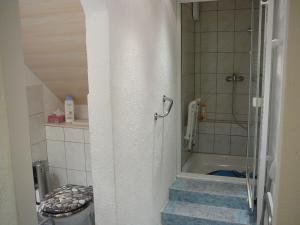 a small bathroom with a shower and a toilet at Ferienwohnung Waldraff in Ostrach +8 photos
