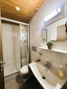 a bathroom with a sink and a shower and a toilet at Petererhof in Gerlos