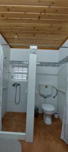 a bathroom with a toilet and a wooden ceiling at Adega do Carlos Pinheiro in São Roque do Pico