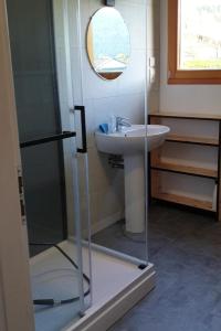 a bathroom with a sink and a glass shower at Chalet avec mezzanine 4 étoiles, Saint Mamet, jusqu'à 10 couchages, proche du lac de Gérardmer des commerces et des pistes de ski dans un quartier calme in Gérardmer +21 photos