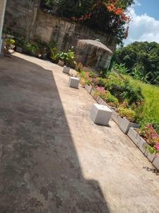 a shadow of a building on a road with flowers at LUMBINI B&b in Kandy