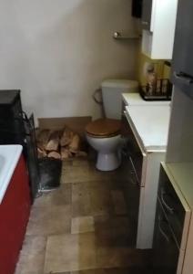 a bathroom with a toilet in the middle of the floor at Vejminek u hospodářství Obora u Doks in Doksy