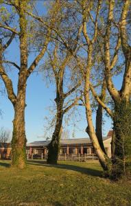a group of trees in front of a building at Odyssée - Chambre d'hôtes avec sauna privatifs, spa et filet suspendu in Zeggers-Cappel