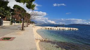a herd of sheep standing in the water at Stone house Olsavinia close to the beach in Kaštela