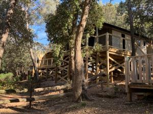 a tree house in the woods with a deck at Camping Familial Buffalo Hacienda in La Seyne-sur-Mer