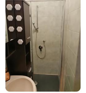 a bathroom with a shower with a toilet and a sink at Appartamento Sestriere in Sestriere +2 photos