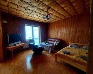 a living room with a couch and a television at Ustrzycki Zakątek in Ustrzyki Dolne