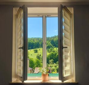 an open window with a potted plant on a window sill at Ustrzycki Zakątek in Ustrzyki Dolne