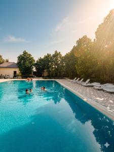 a group of people swimming in a swimming pool at GREEN APPLE GUEST House in Tashkent