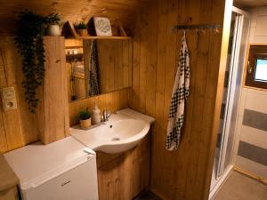 a bathroom with a sink and a mirror and a sink at Maringotka MIMO in Uhelná