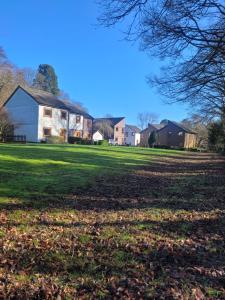 a large yard with houses in the background at Keswick Bridge Lodge Resort in Keswick