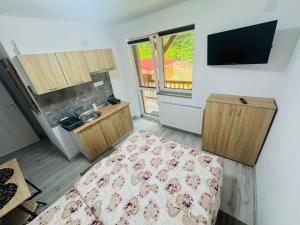 a room with a bed and a sink and a tv at Pensiunea NikoBella Panzió in Sovata