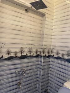 a shower in a bathroom with birds on the wall at Hooly Nubian in Aswan
