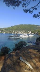 two boats are docked in a large body of water at Skiathos island house in Skiathos