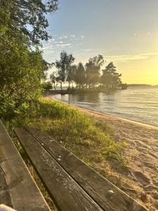 eine Holzbank am Rande eines Strandes in der Unterkunft Vitsand  + 6 Fotos