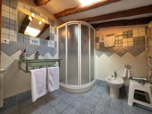 a bathroom with a shower and a sink and a toilet at Entrefrutales · Casa Rural entre Árboles y Aromas in La Vilueña