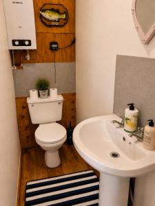 a bathroom with a toilet and a sink at Donegal Oceanview Retreat in Drumaville
