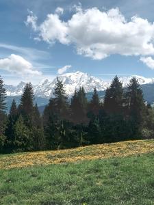 a view of a snow covered mountain from a field at La Vie en Rose et Azur in Cluses