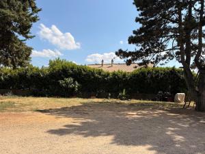a yard with a tree and a hedge and a house at Le logis de Louze in Saint-Maurice-lʼExil