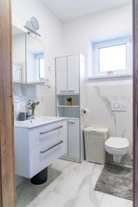 a white bathroom with a toilet and a sink at Prenočišča Dany in Dravograd