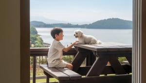 a boy sitting on a picnic table with a white dog at Yeosu Greenhouse Pension in Yeosu