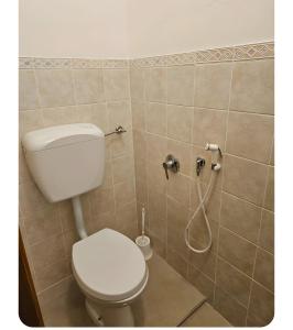 a bathroom with a toilet and a shower at Appartamento Sestriere in Sestriere