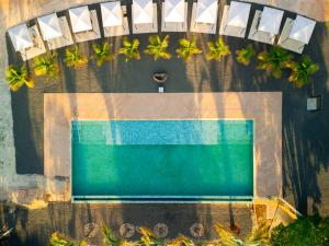 an overhead view of a swimming pool with palm trees at Vila Chalés in Itu