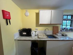 a kitchen counter with a sink and a microwave at Annexe in Broomfield Barn in Swettenham +1 photo