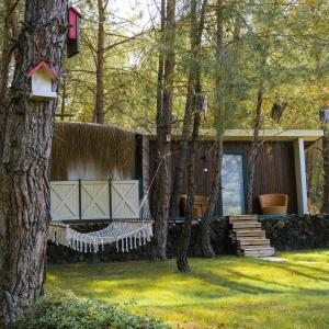 a hammock in a yard next to a house at Mossa Afkule Kayaköy in Fethiye