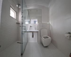 a white bathroom with a toilet and a sink at Vila Popovici in Prăjila +68 photos
