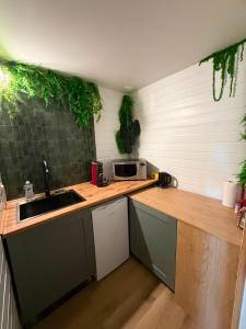 a kitchen with a sink and a microwave on a counter at L'EVIDENCE Love Room & spa in Chaveignes