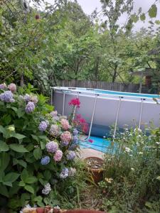 a garden with flowers and a swimming pool at Guest House Mukha in Akhaldaba